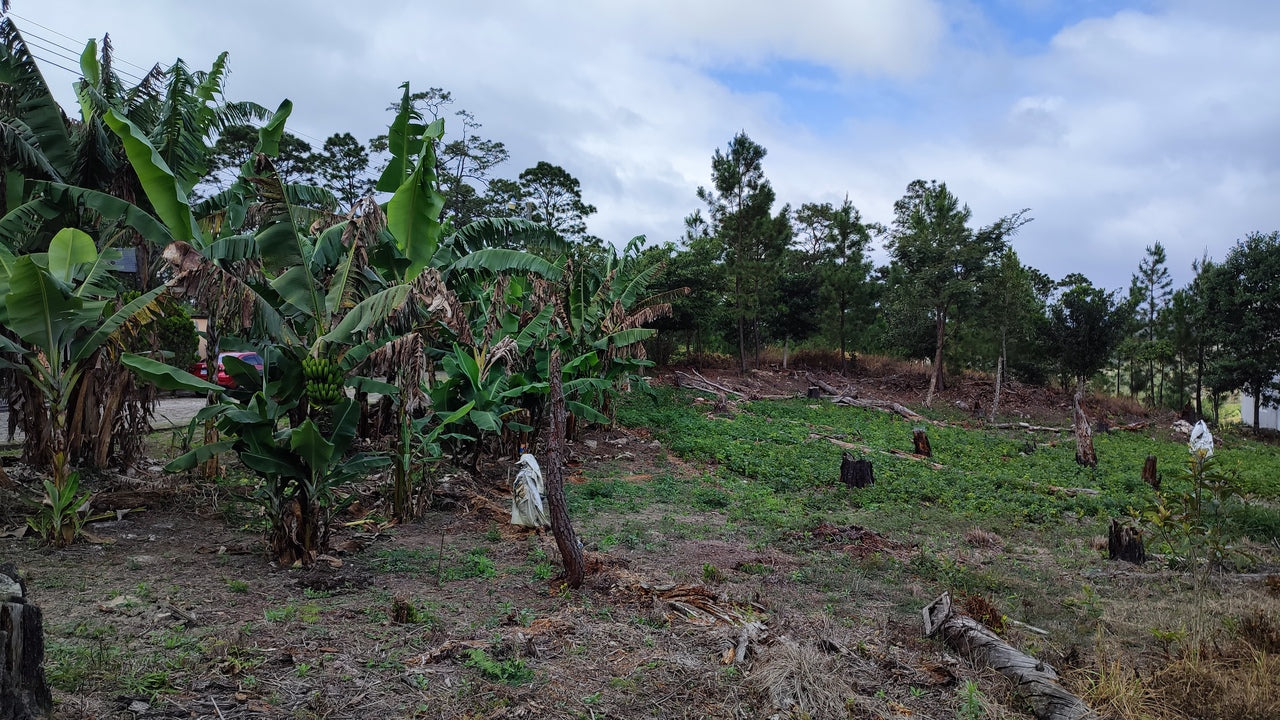 Propiedad V031 (Terreno Urbano) - Residencial Miralago (El Hatillo), Tegucigalpa