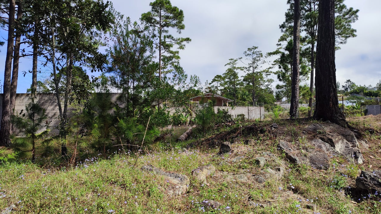 Propiedad V037 (Terreno Urbano) - El Hatillo, Tegucigalpa