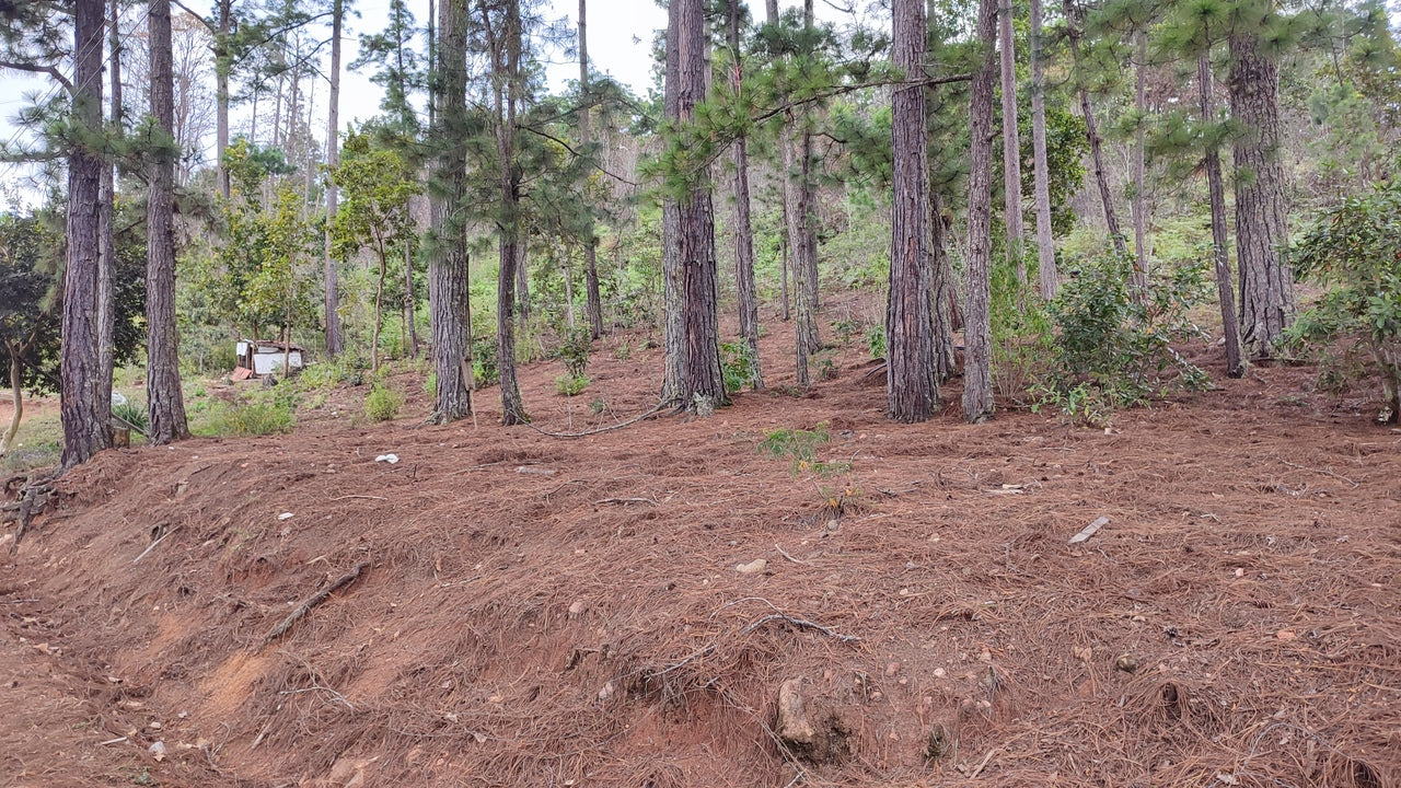 Propiedad V032 (Terreno Urbano) - El Trigo (El Hatillo), Tegucigalpa