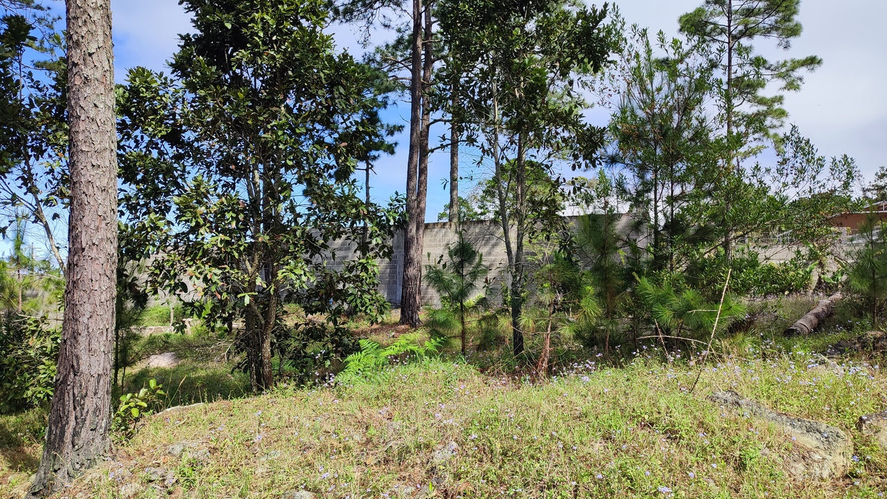 Propiedad V037 (Terreno Urbano) - El Hatillo, Tegucigalpa