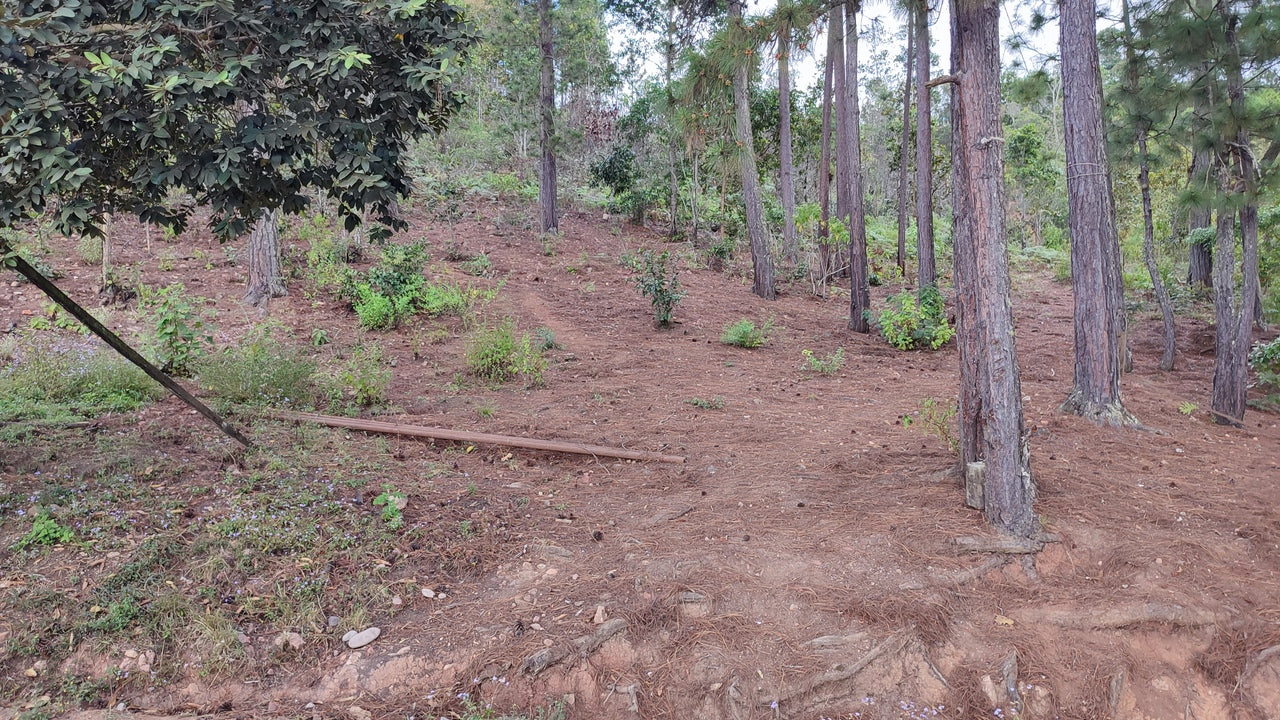 Propiedad V032 (Terreno Urbano) - El Trigo (El Hatillo), Tegucigalpa