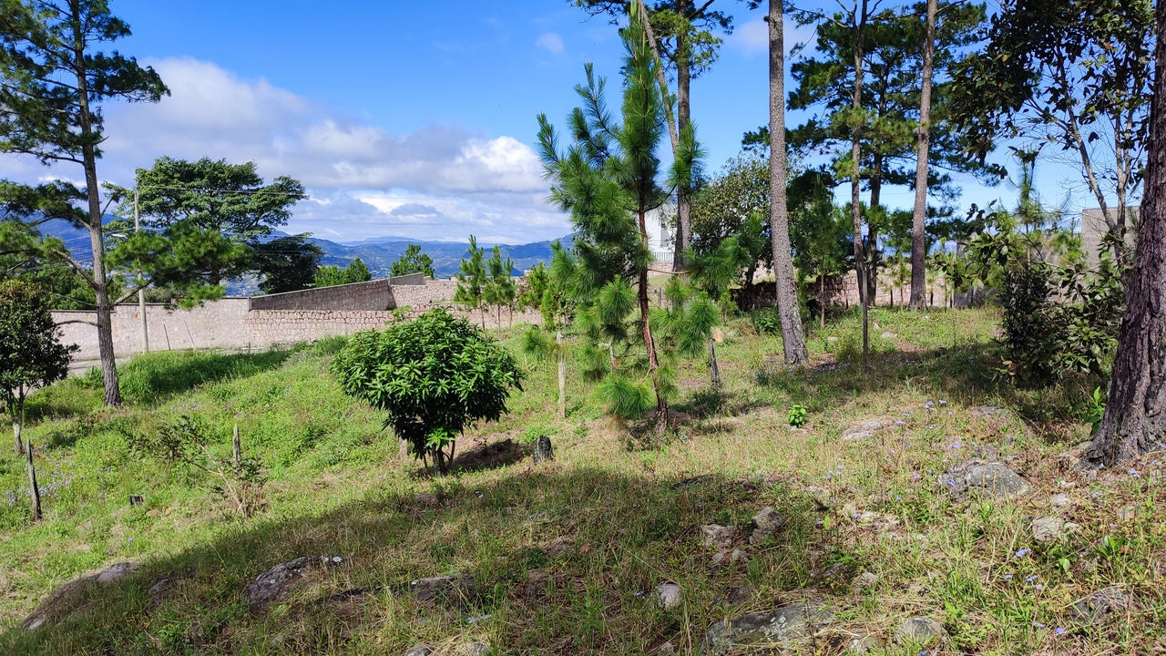 Propiedad V037 (Terreno Urbano) - El Hatillo, Tegucigalpa