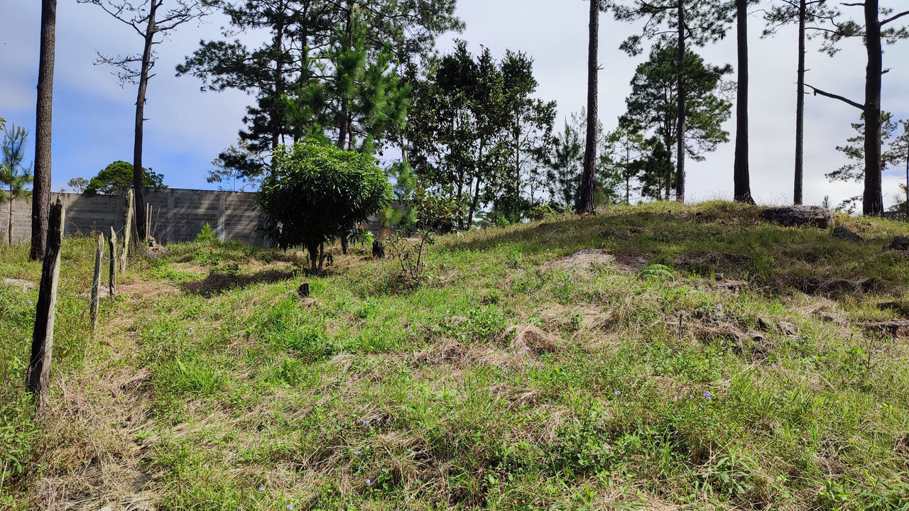 Propiedad V037 (Terreno Urbano) - El Hatillo, Tegucigalpa