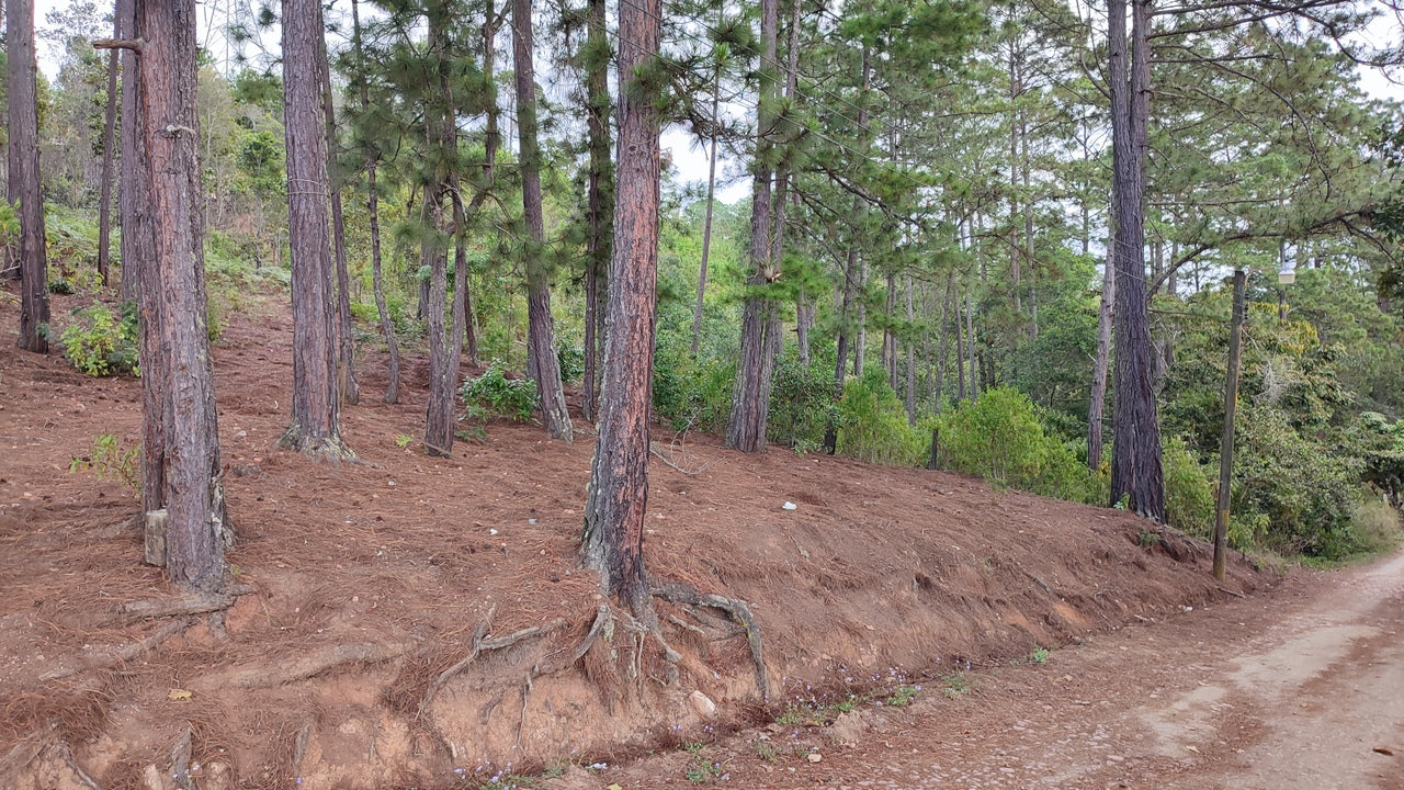 Propiedad V032 (Terreno Urbano) - El Trigo (El Hatillo), Tegucigalpa