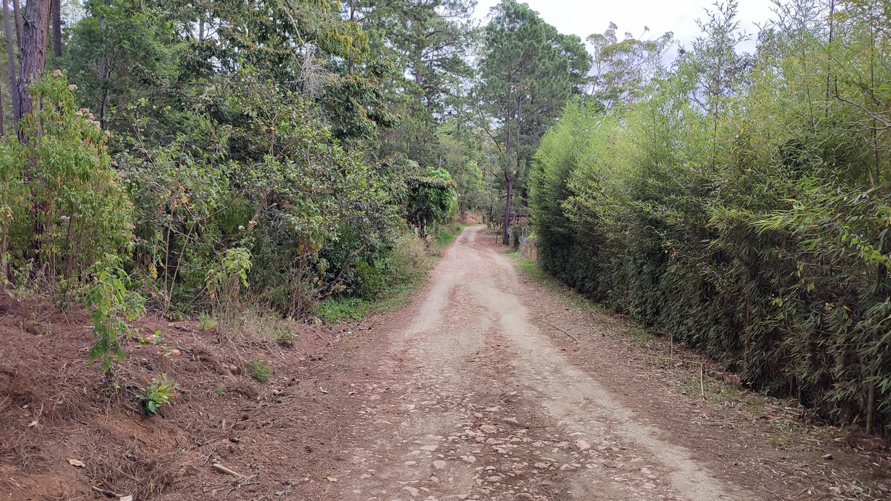 Propiedad V032 (Terreno Urbano) - El Trigo (El Hatillo), Tegucigalpa
