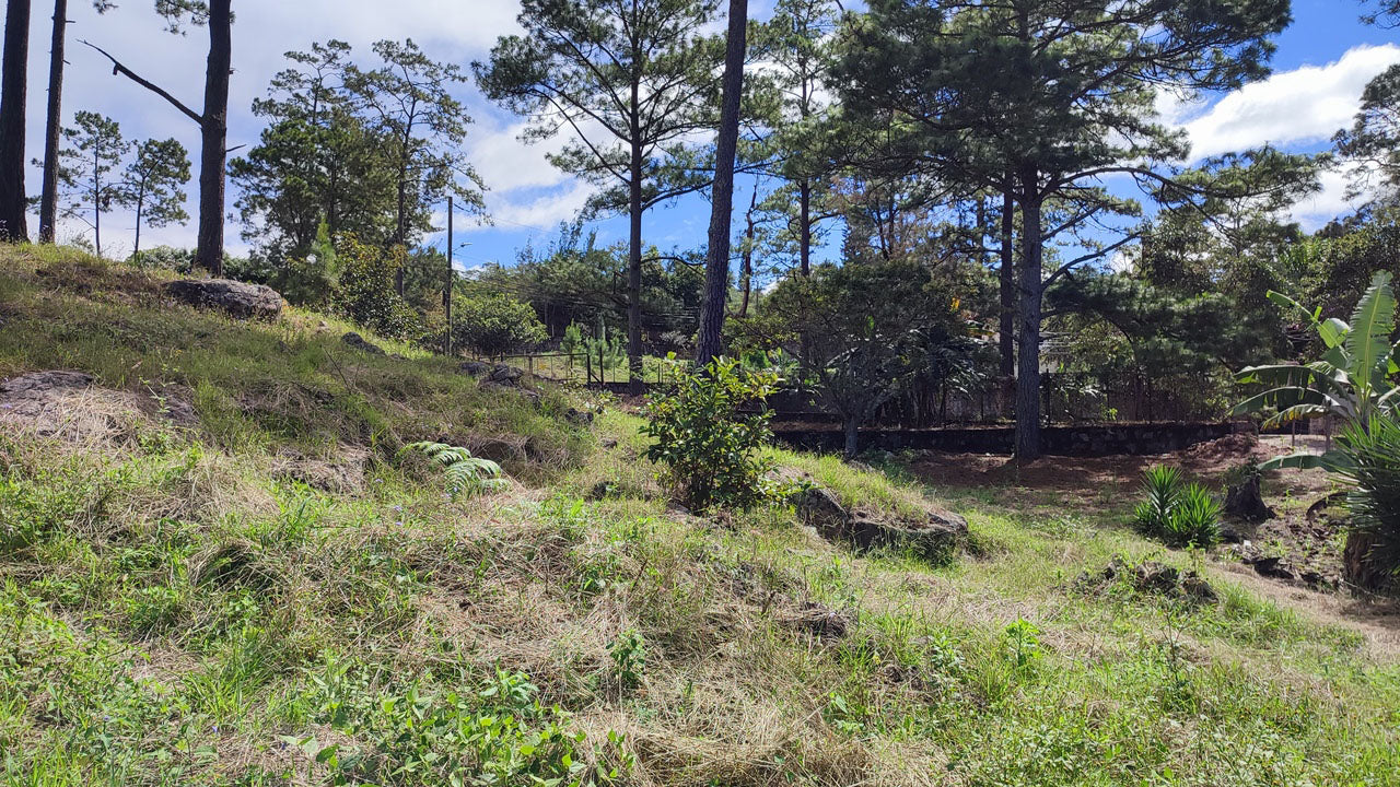 Propiedad V037 (Terreno Urbano) - El Hatillo, Tegucigalpa