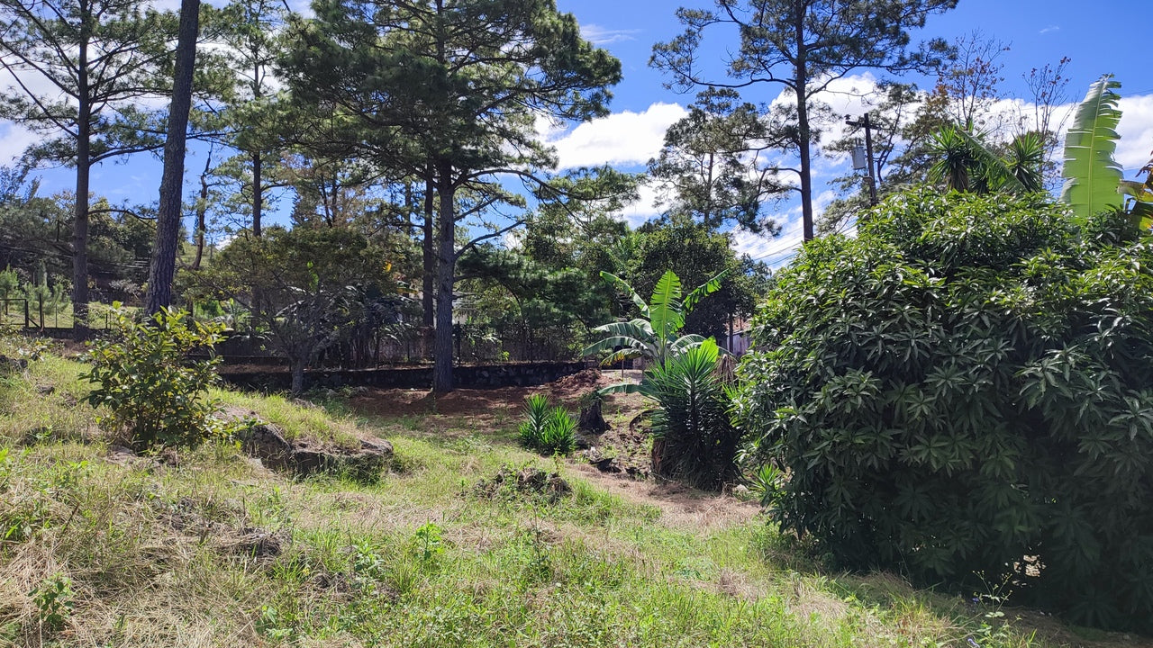 Propiedad V037 (Terreno Urbano) - El Hatillo, Tegucigalpa