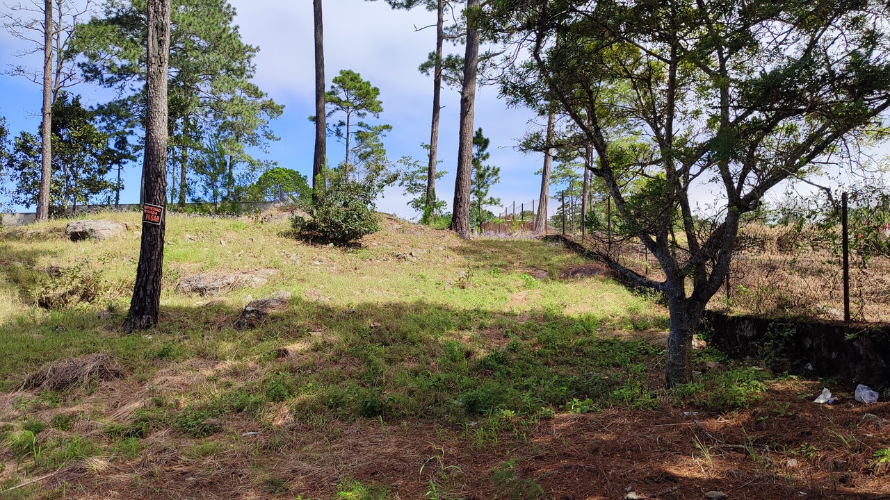 Propiedad V037 (Terreno Urbano) - El Hatillo, Tegucigalpa