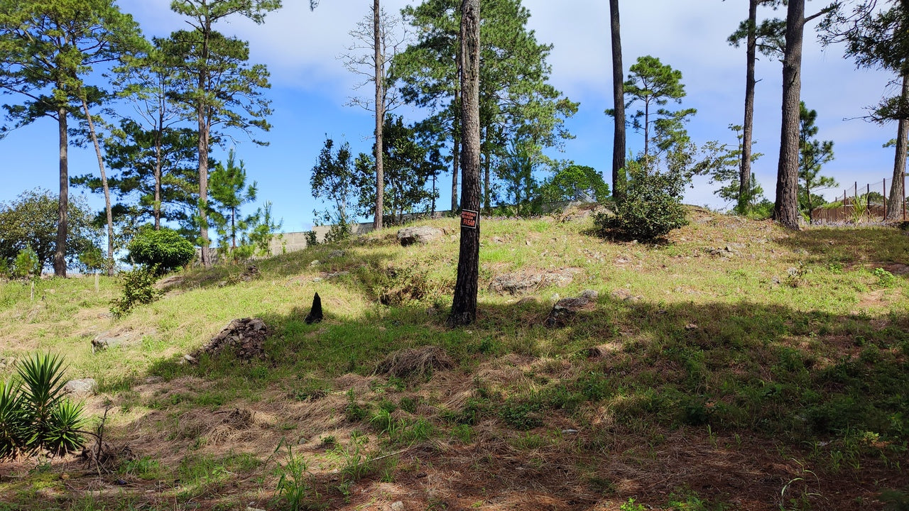 Propiedad V037 (Terreno Urbano) - El Hatillo, Tegucigalpa