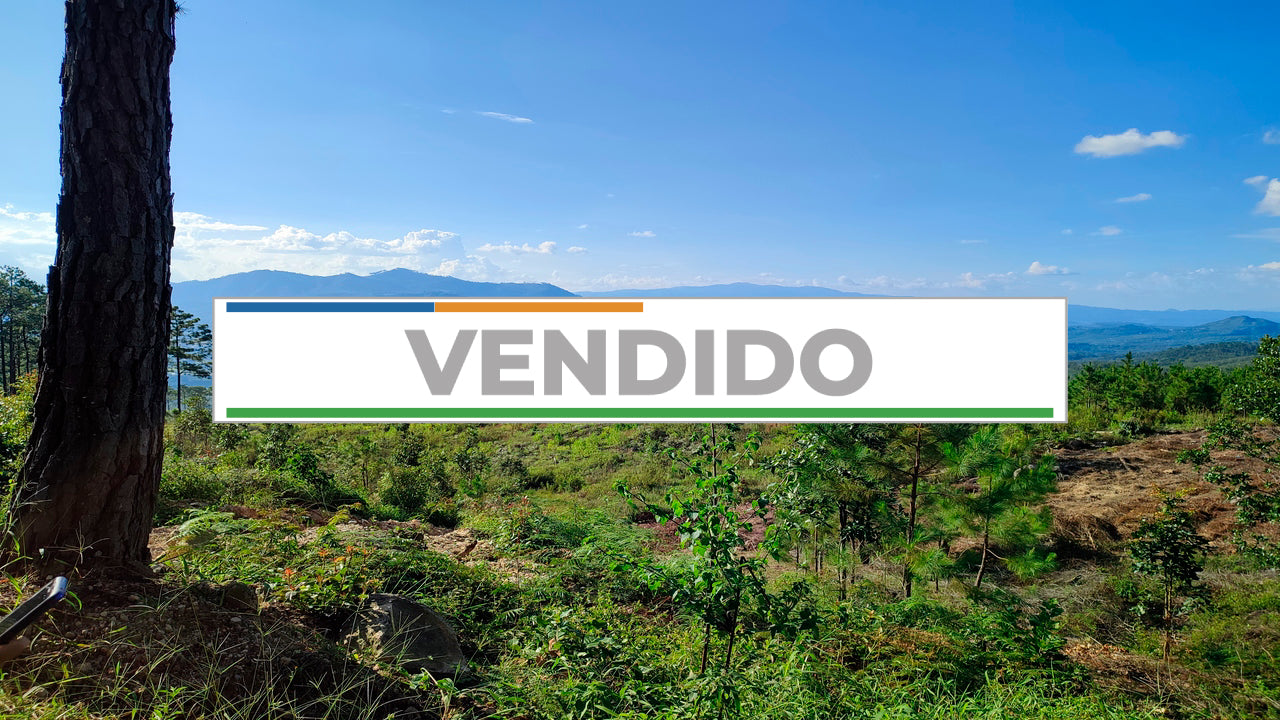 Propiedad V011 (Terreno Urbano) - Residencial Miralago (El Hatillo), Tegucigalpa