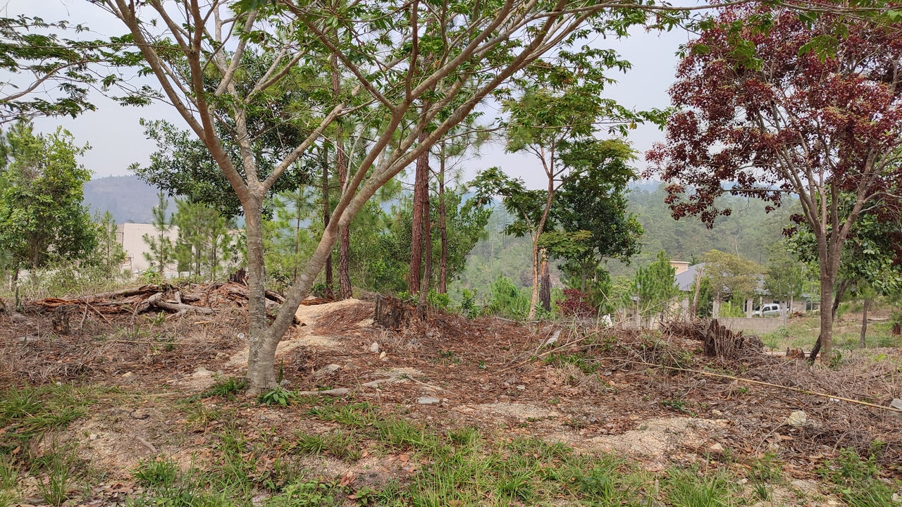 Propiedad V031 (Terreno Urbano) - Residencial Miralago (El Hatillo), Tegucigalpa