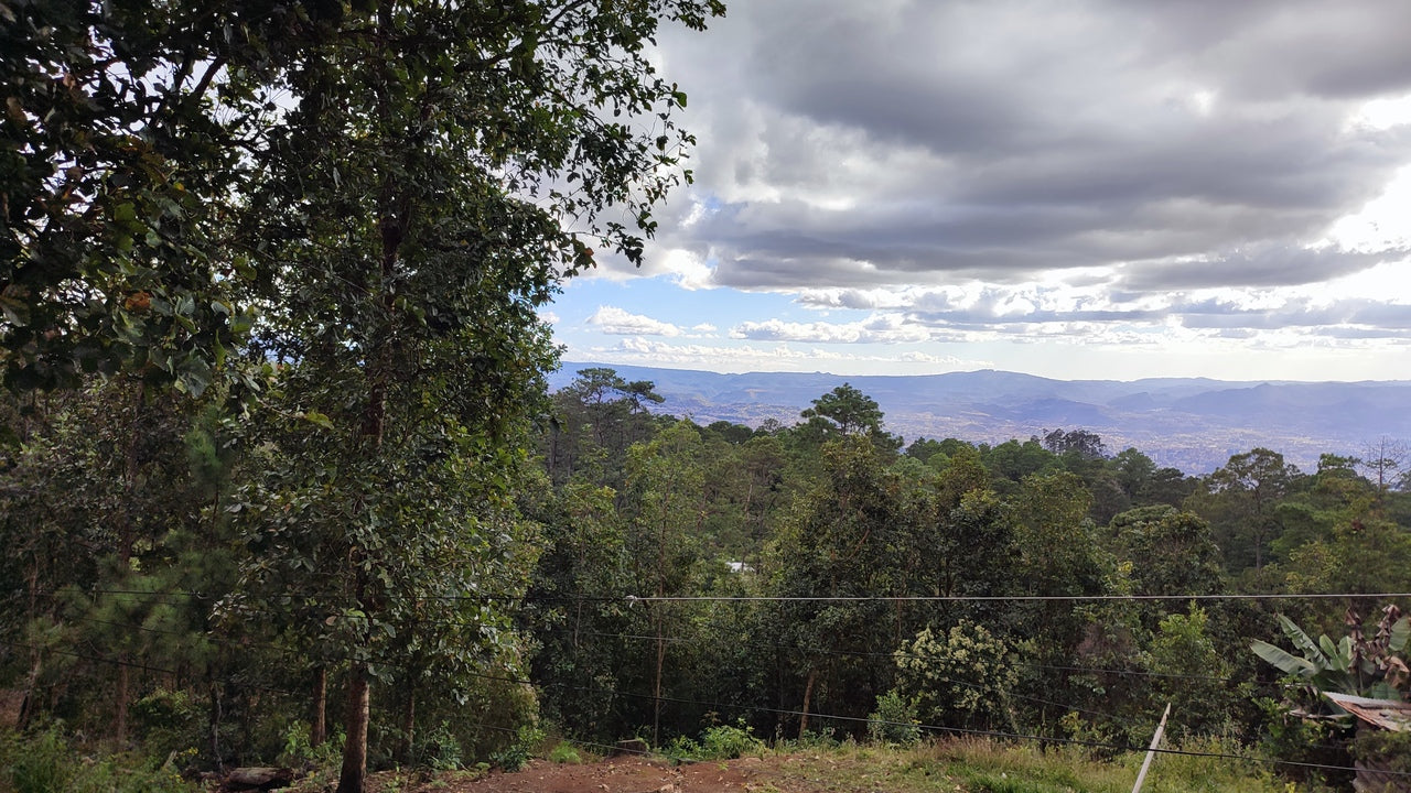 Propiedad V032 (Terreno Urbano) - El Trigo (El Hatillo), Tegucigalpa