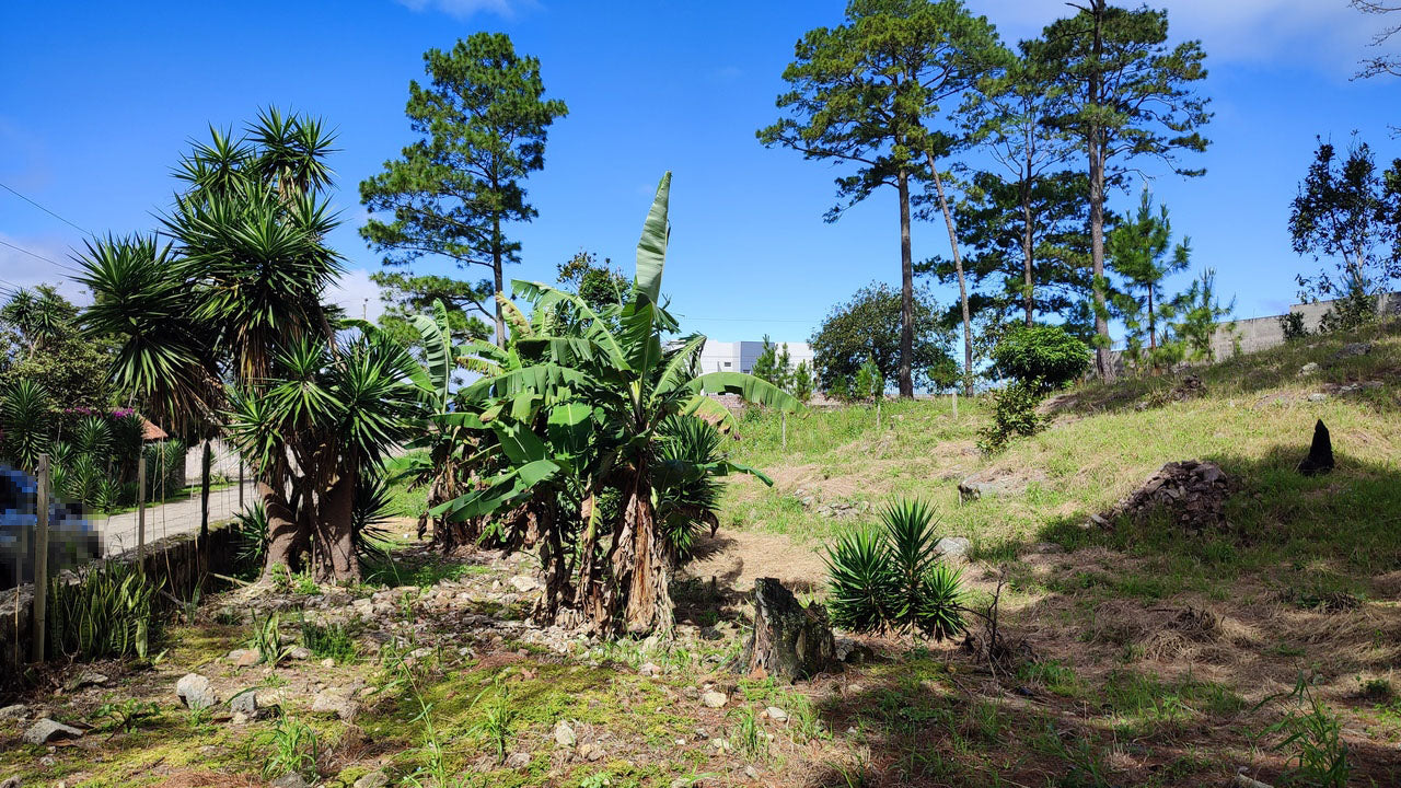 Propiedad V037 (Terreno Urbano) - El Hatillo, Tegucigalpa