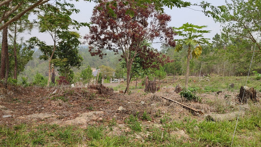 Propiedad V031 (Terreno Urbano) - Residencial Miralago (El Hatillo), Tegucigalpa