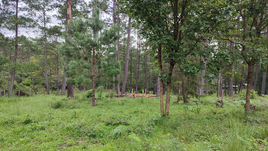 Propiedad V036 (Terreno Rural) - El Hatillo, Tegucigalpa