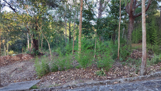 Propiedad V043 (Terreno Urbano) - Residencial Miralago (El Hatillo), Tegucigalpa