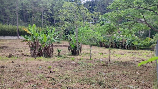 Propiedad V039 (Terreno Urbano) - El Hatillo, Tegucigalpa