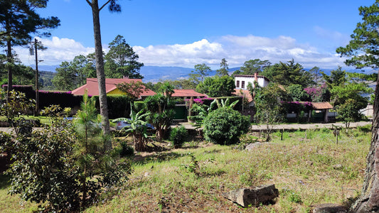 Propiedad V037 (Terreno Urbano) - El Hatillo, Tegucigalpa