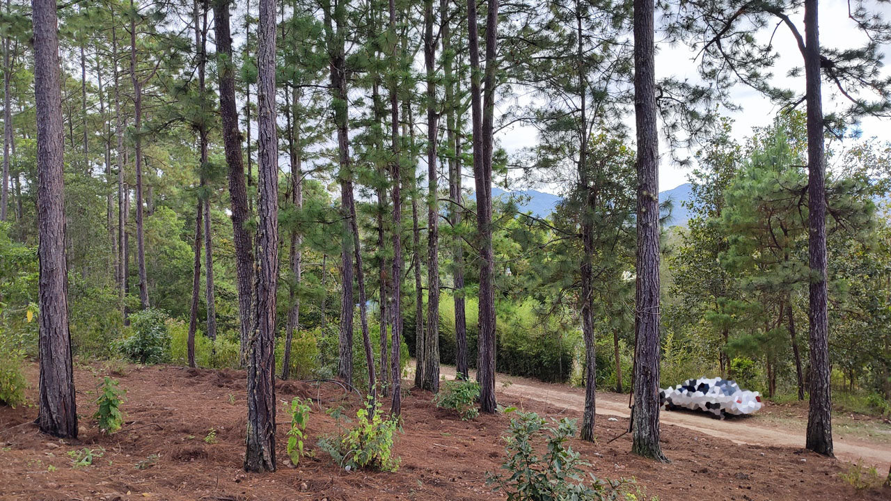 Propiedad V032 (Terreno Urbano) - El Trigo (El Hatillo), Tegucigalpa