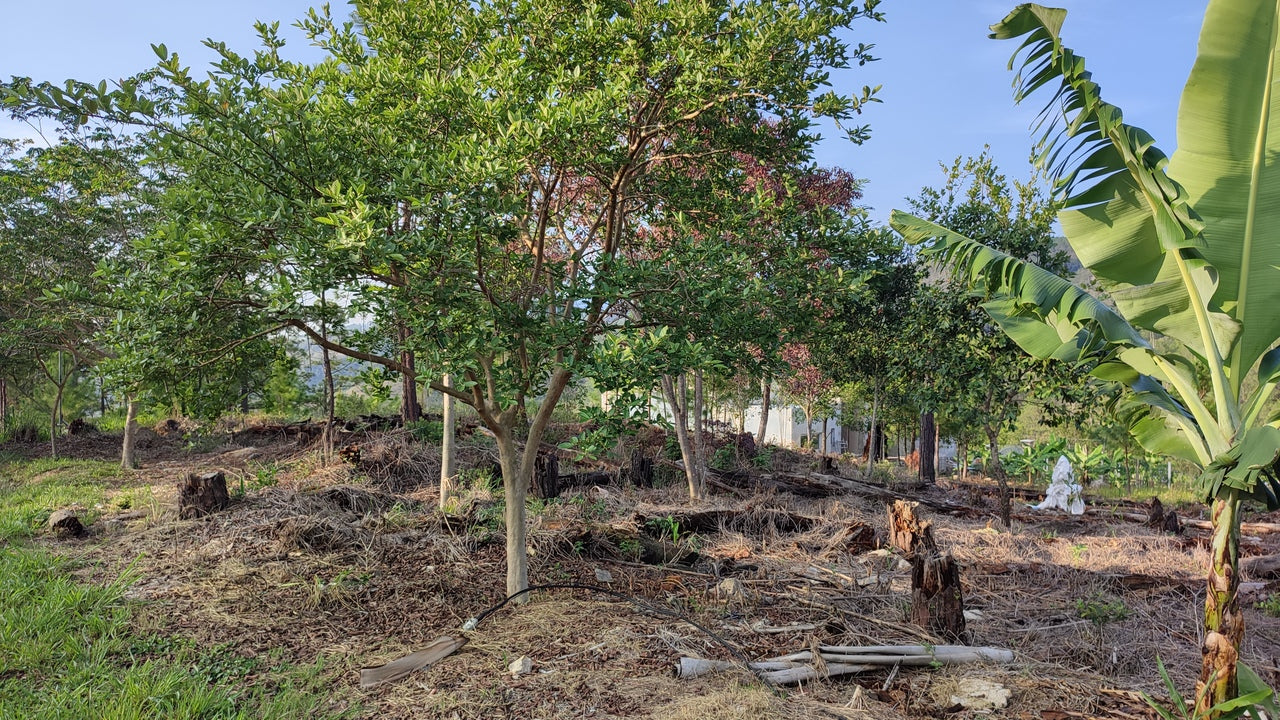Propiedad V031 (Terreno Urbano) - Residencial Miralago (El Hatillo), Tegucigalpa