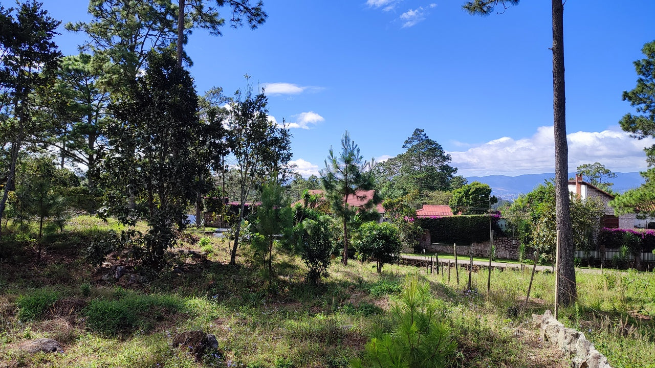 Propiedad V037 (Terreno Urbano) - El Hatillo, Tegucigalpa