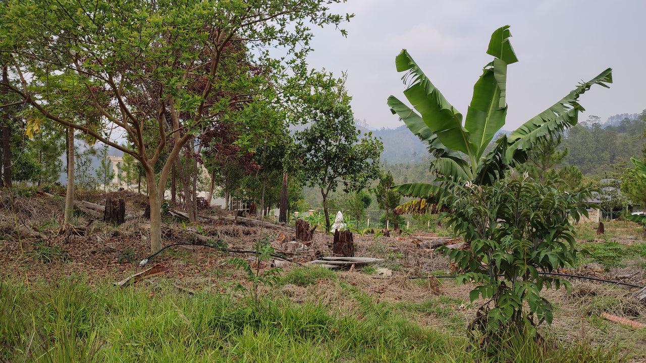Propiedad V031 (Terreno Urbano) - Residencial Miralago (El Hatillo), Tegucigalpa