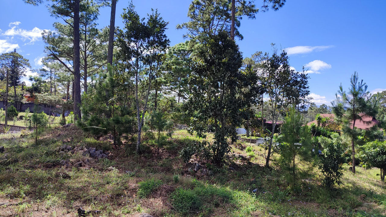 Propiedad V037 (Terreno Urbano) - El Hatillo, Tegucigalpa