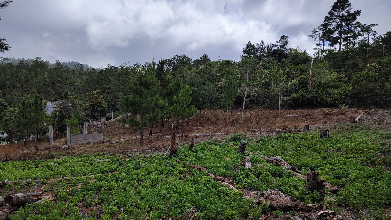 Propiedad V031 (Terreno Urbano) - Residencial Miralago (El Hatillo), Tegucigalpa