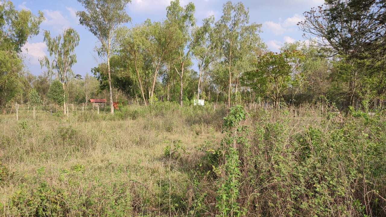 Propiedad V025 (Terreno Urbano) - Siguatepeque (Ciudad), Comayagua