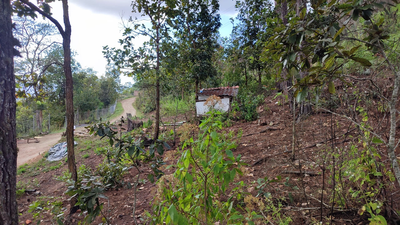 Propiedad V032 (Terreno Urbano) - El Trigo (El Hatillo), Tegucigalpa