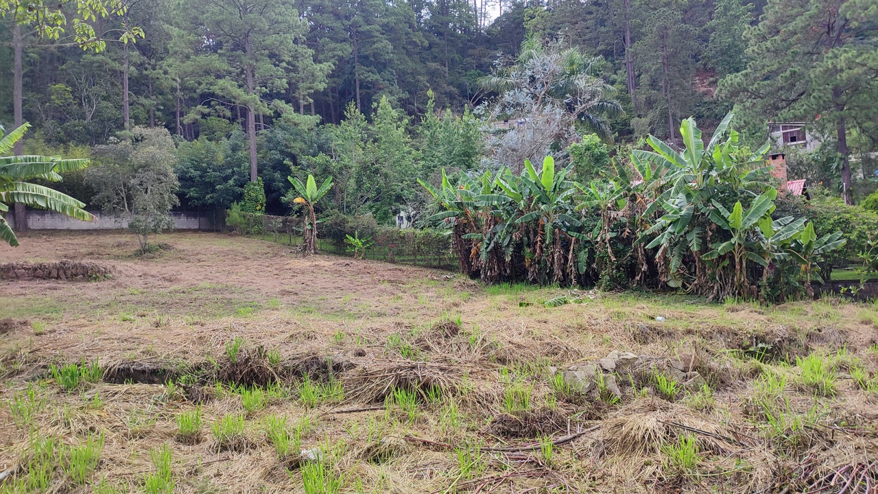 Propiedad V039 (Terreno Urbano) - El Hatillo, Tegucigalpa