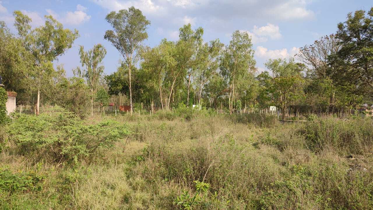 Propiedad V025 (Terreno Urbano) - Siguatepeque (Ciudad), Comayagua