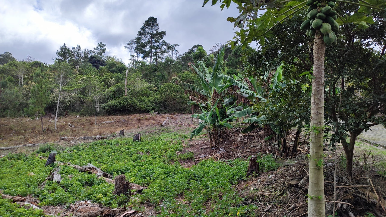 Propiedad V031 (Terreno Urbano) - Residencial Miralago (El Hatillo), Tegucigalpa