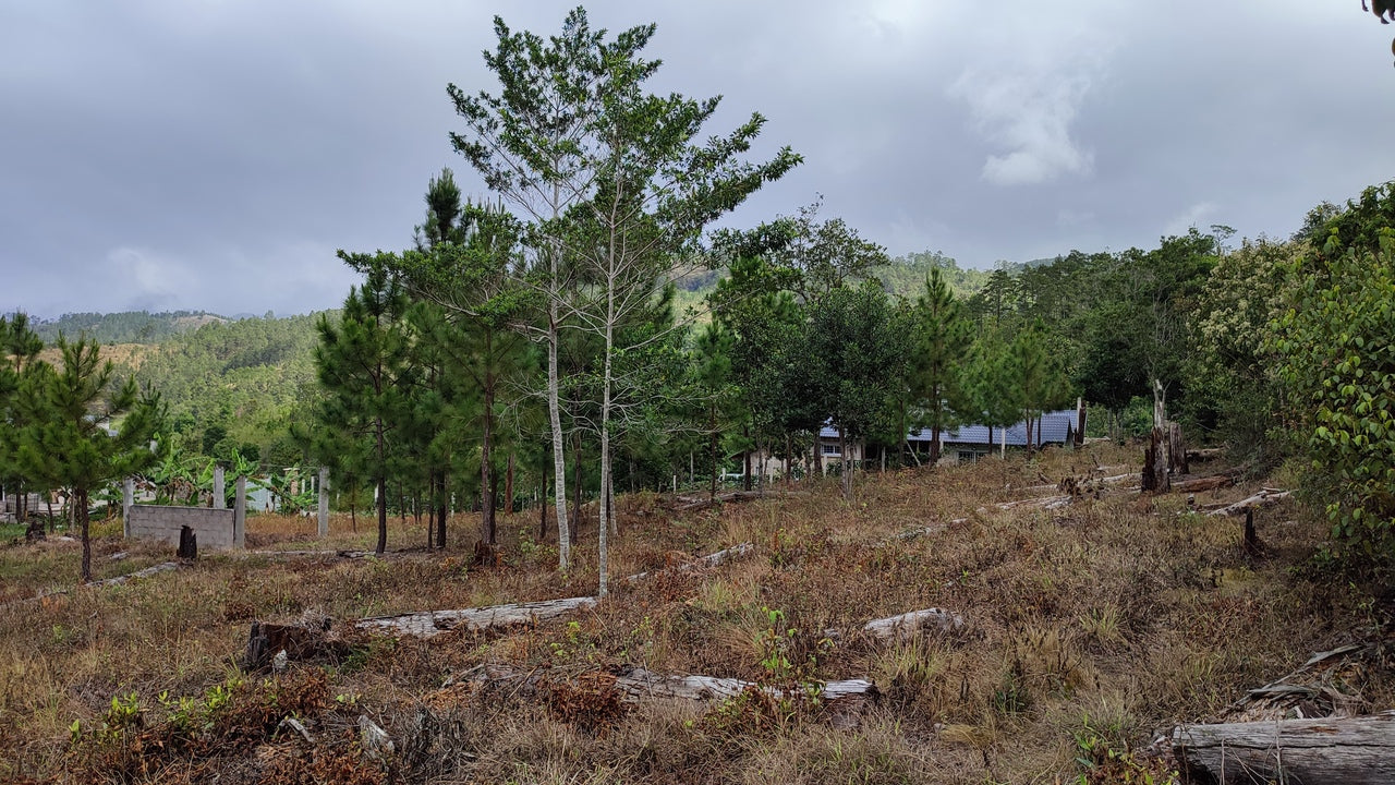 Propiedad V031 (Terreno Urbano) - Residencial Miralago (El Hatillo), Tegucigalpa