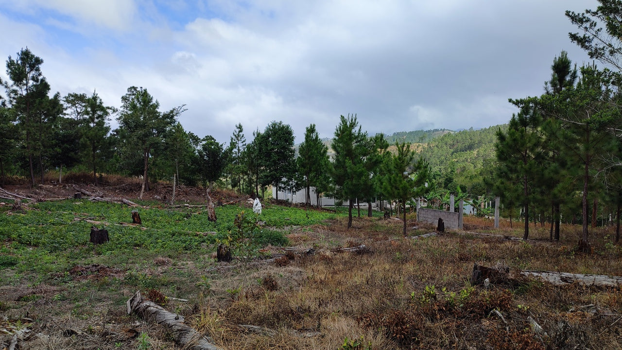 Propiedad V031 (Terreno Urbano) - Residencial Miralago (El Hatillo), Tegucigalpa