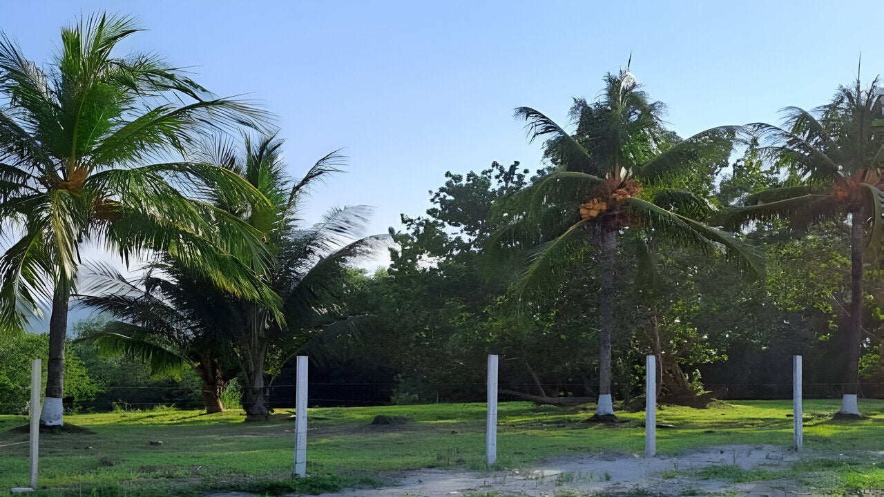 Propiedad V035 (Terreno de Playa) - Residencial Marbella, Omoa