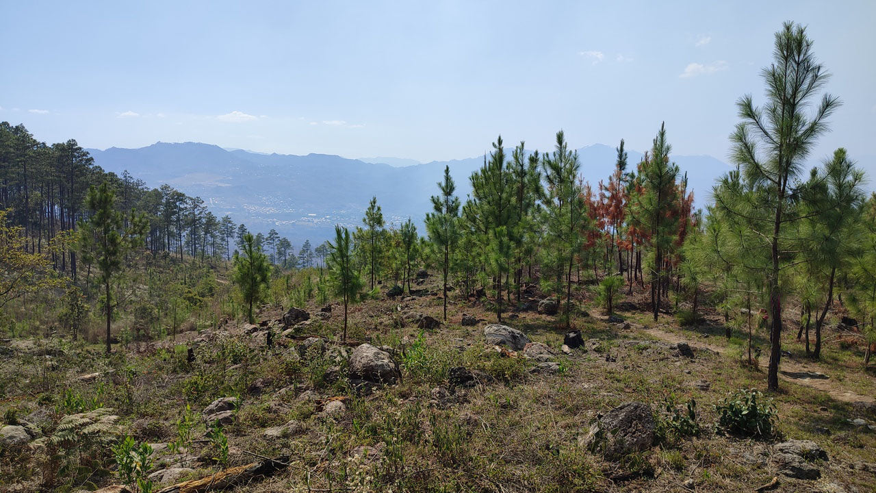 Propiedad V024 (Terreno Urbano) - Residencial Miralago (El Hatillo), Tegucigalpa