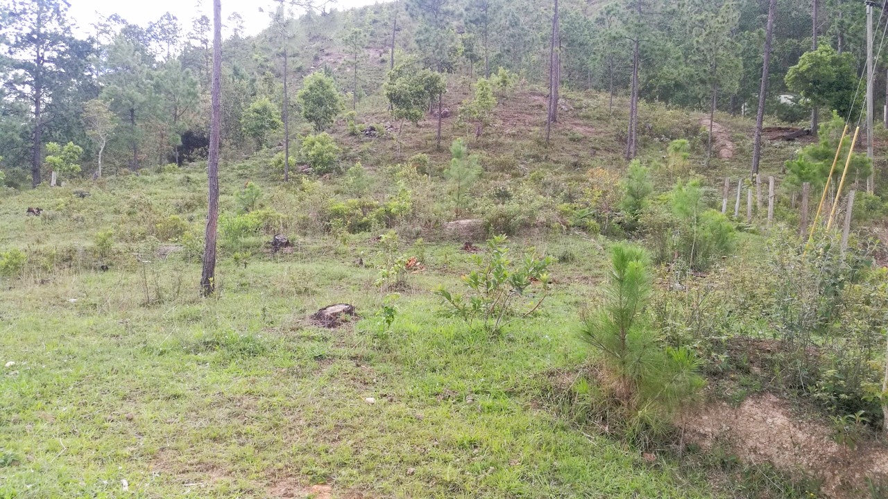 Propiedad V006 (Terreno Rural) - Cerro Grande, Valle de Ángeles