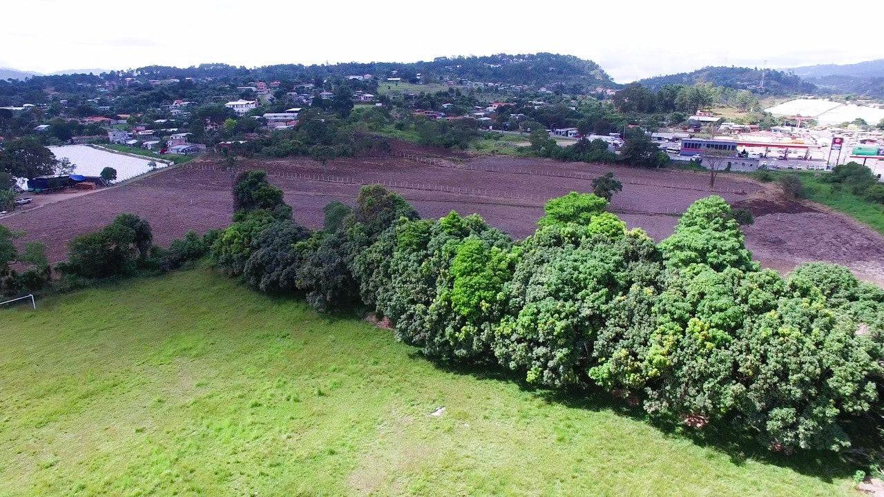 Propiedad V003 (Terreno Urbano) - Siguatepeque (Ciudad), Comayagua