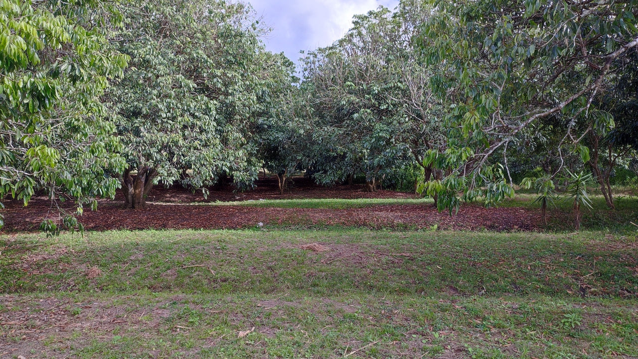 Propiedad V017 (Terreno Rural) - Siguatepeque (Ciudad), Comayagua.