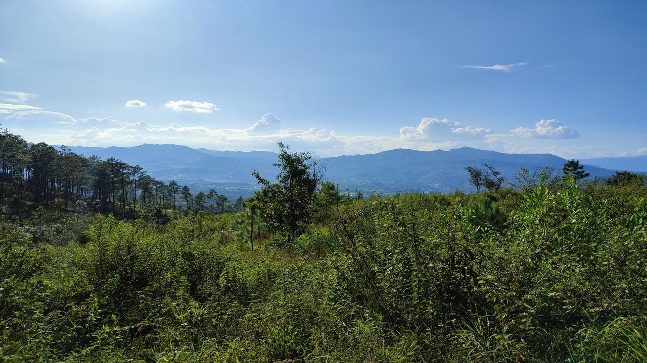 Propiedad V011 (Terreno Urbano) - Residencial Miralago (El Hatillo), Tegucigalpa