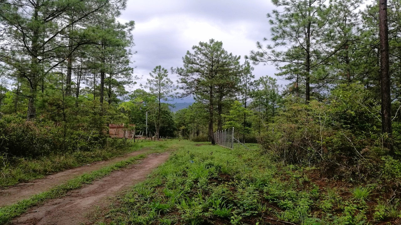 Propiedad V013 (Terreno Rural) - Aldea Buenas Casas, Siguatepeque