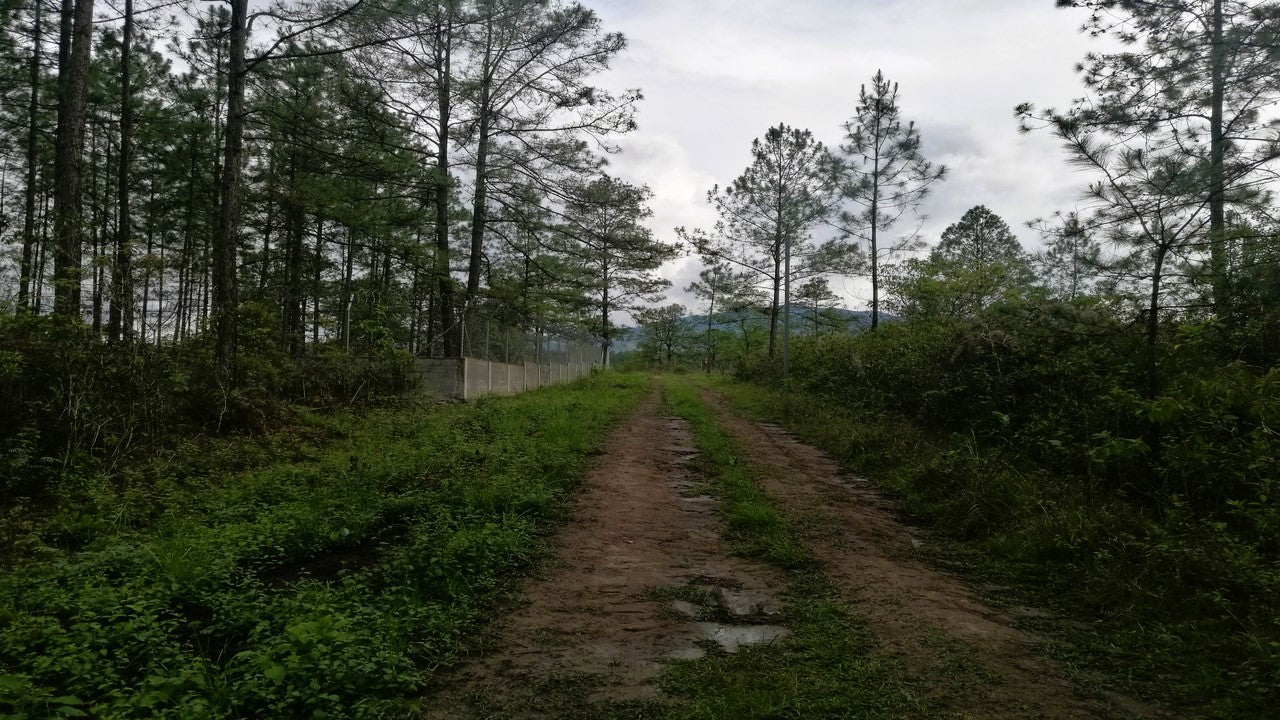 Propiedad V013 (Terreno Rural) - Aldea Buenas Casas, Siguatepeque