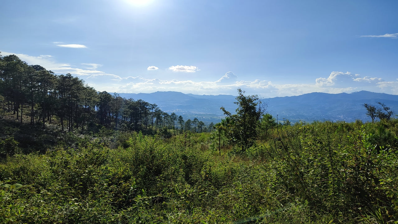 Propiedad V011 (Terreno Urbano) - Residencial Miralago (El Hatillo), Tegucigalpa