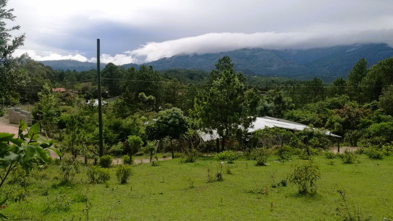 Propiedad V008 (Terreno Rural) - Cerro Grande, Valle de Ángeles