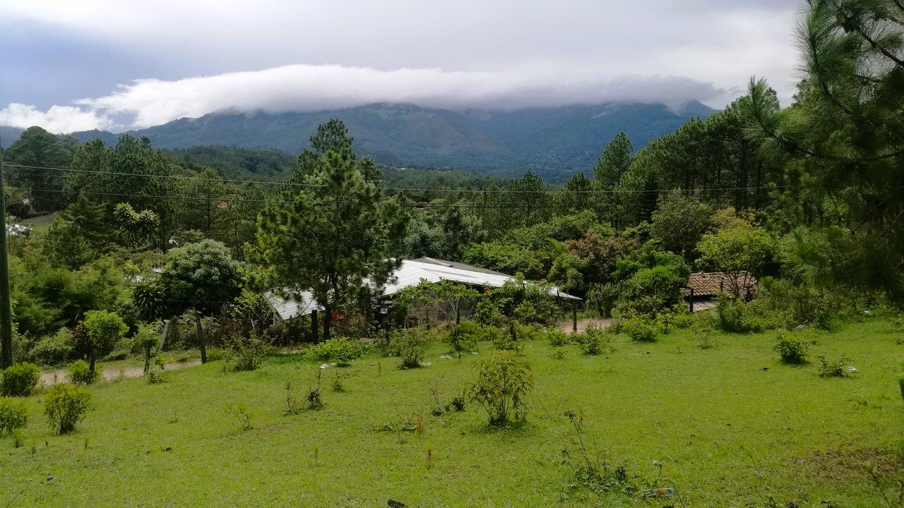 Propiedad V008 (Terreno Rural) - Cerro Grande, Valle de Ángeles