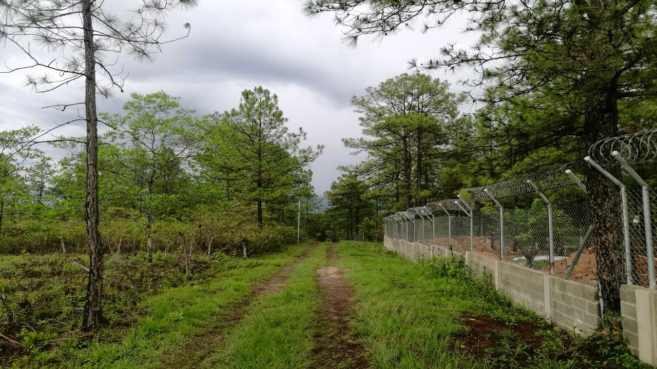 Propiedad V013 (Terreno Rural) - Aldea Buenas Casas, Siguatepeque