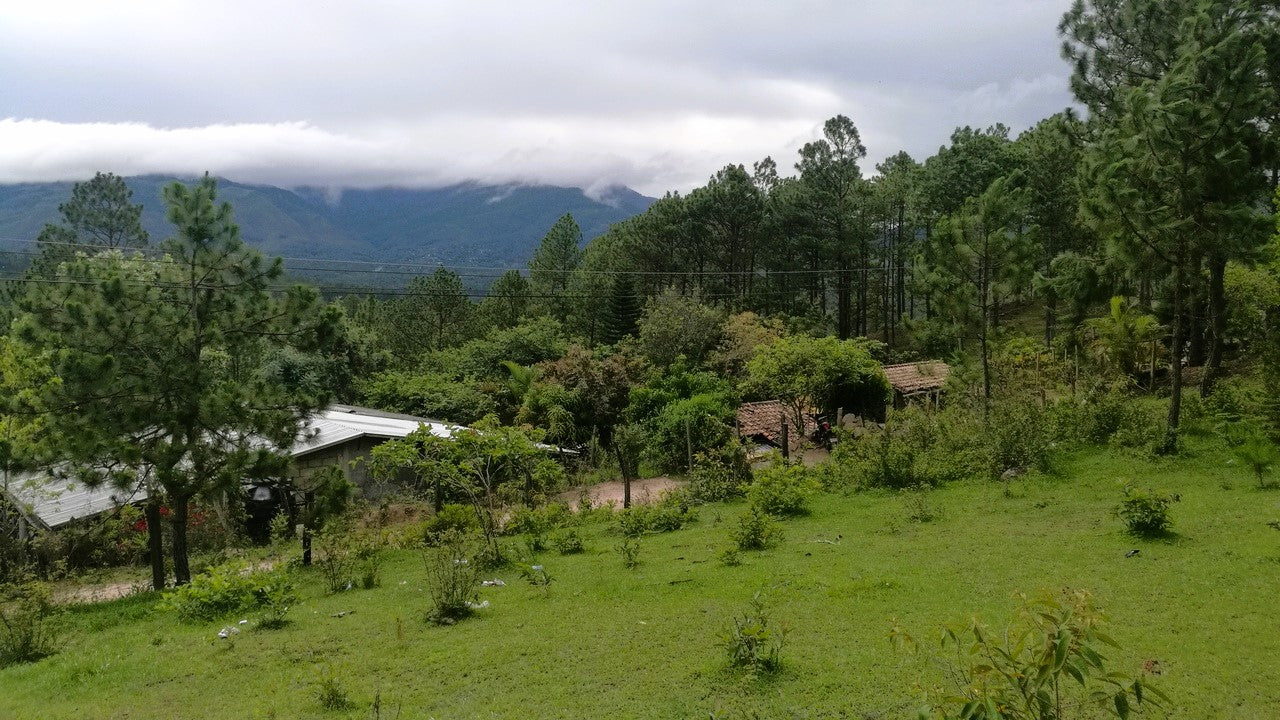 Propiedad V008 (Terreno Rural) - Cerro Grande, Valle de Ángeles