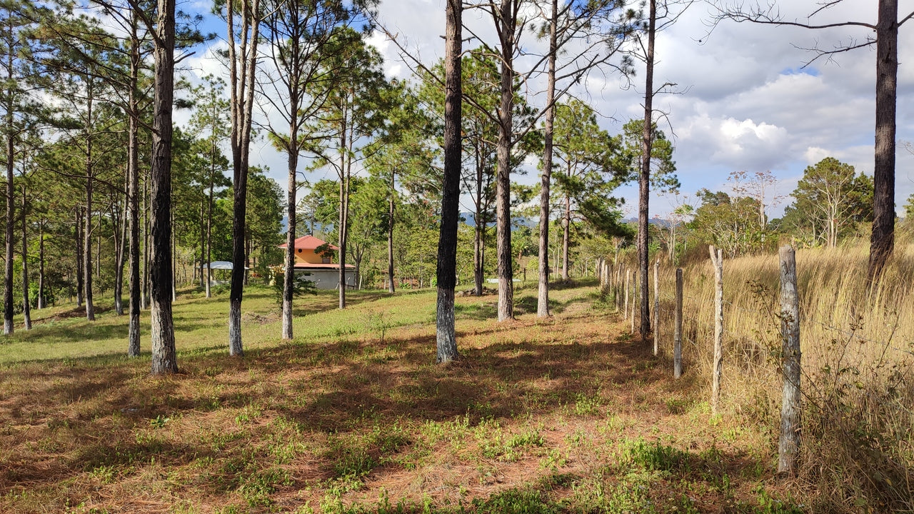 Propiedad V019 (Terreno Rural) - Aldea Buenas Casas, Siguatepeque