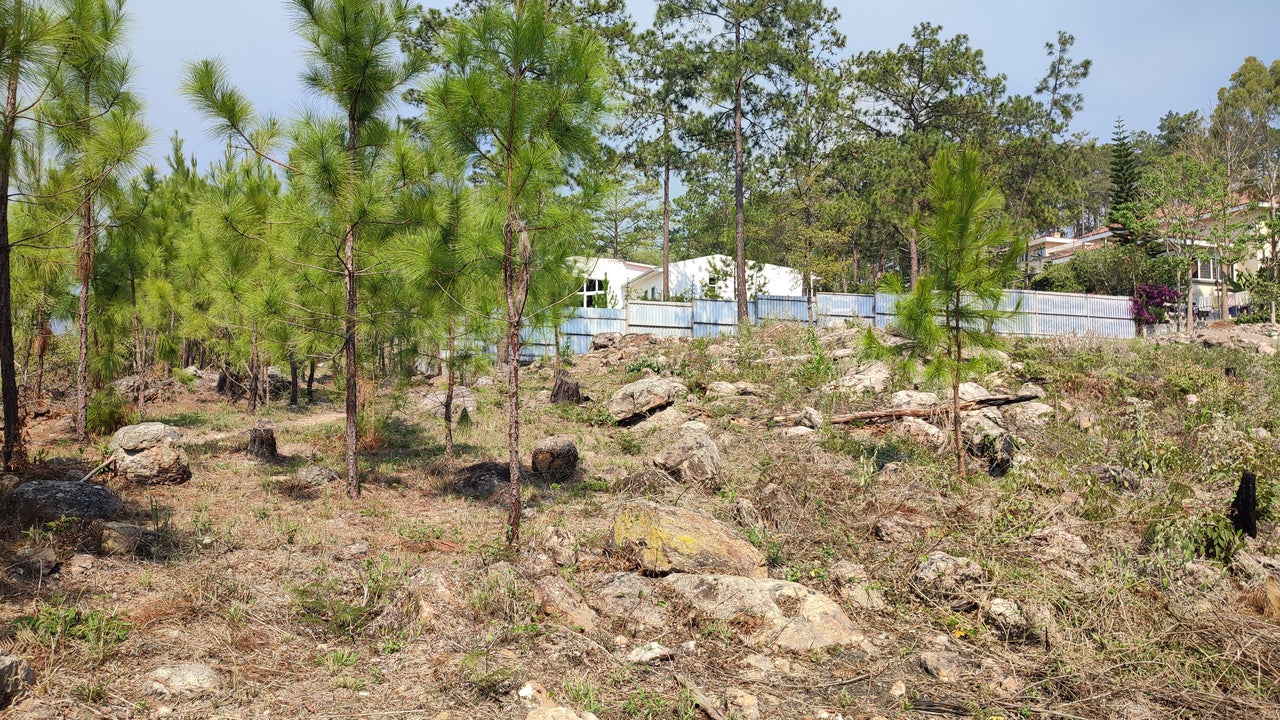 Propiedad V024 (Terreno Urbano) - Residencial Miralago (El Hatillo), Tegucigalpa